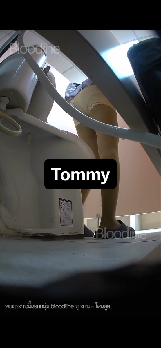 Tommy tweet media