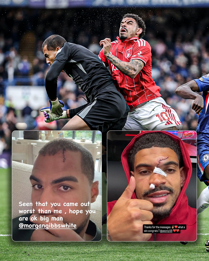 Chelseaverse tweet media