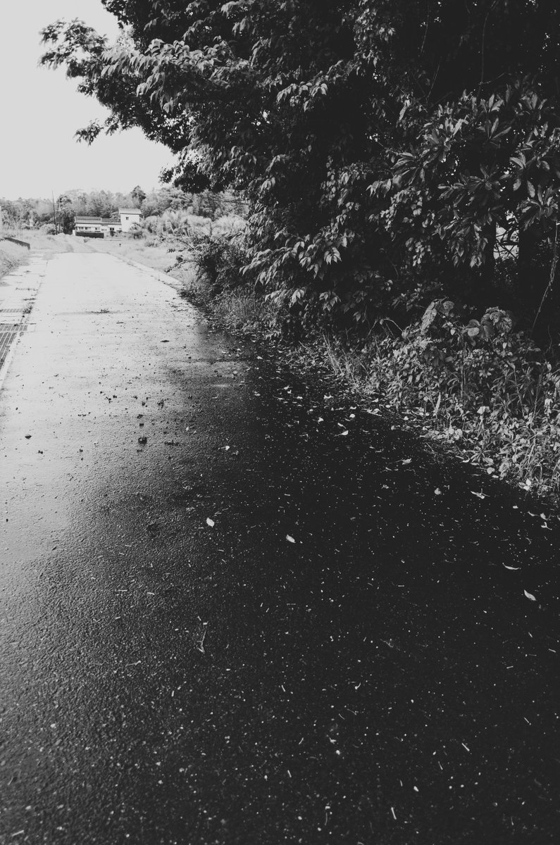 akabeko63's tweet image. #2471
#monochrome #モノクローム