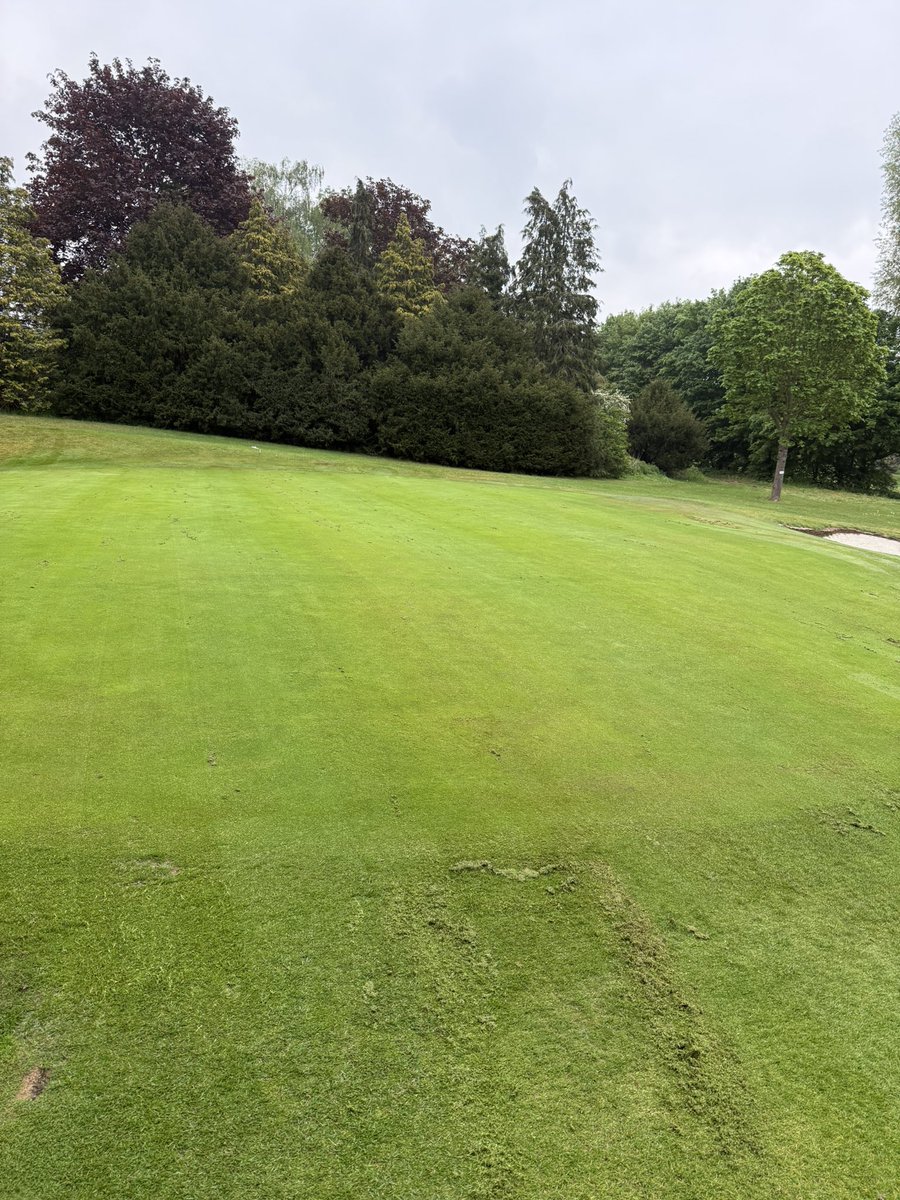 LGCGreenkeepers's tweet photo. After 8mm of rain over the bank holiday weekend, first bit of rain since the middle of March, we have scarified, top dressed and starting spiking this morning. https://t.co/ak8ROsCbJT
