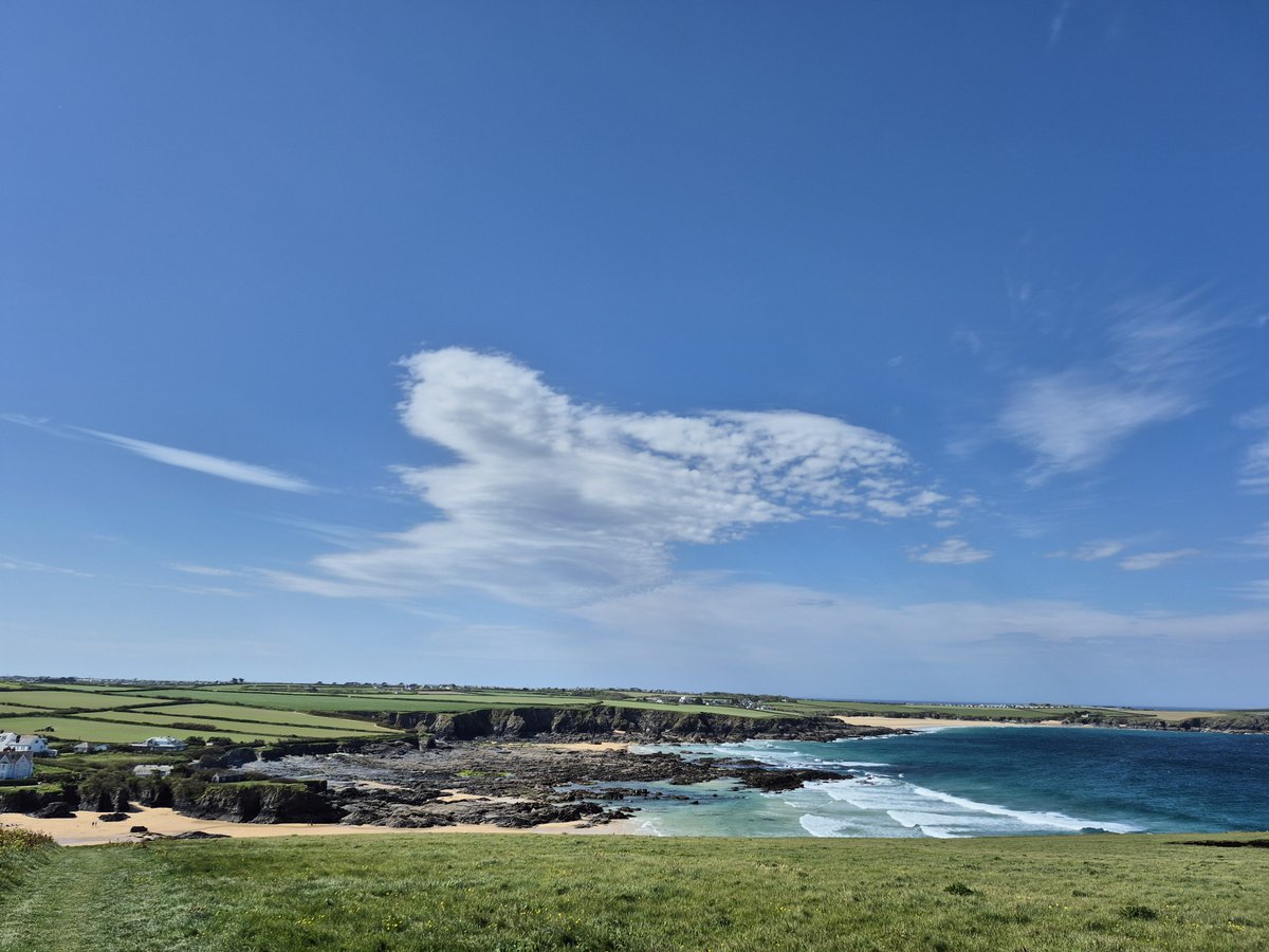 QuayArtPadstow's tweet photo. The coastal path at Trevone #SeaPinks #Thrift #Trevone #HarlynBay #TheColoursOfSpring
@Westcountry @WendyMounce @Cornwall_Coast
@Devon_Cornwall @iloveukcoast @Intocornwall https://t.co/jIMNSF9Y0l