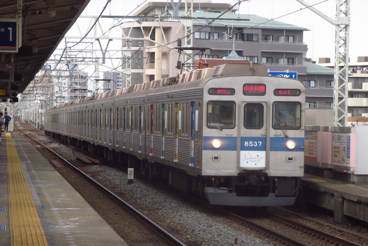 Azumamesi8112F's tweet photo. 8637F春日部で撮影した青帯10連が好きだったから
青帯仕様→BUNKAMURA仕様→さよなら8500系仕様→復活仕様
を通してまた青帯になってくれて嬉しい
せっかく復活したからこれからも末長い活躍を期待してます https://t.co/45lmD9vQ6y