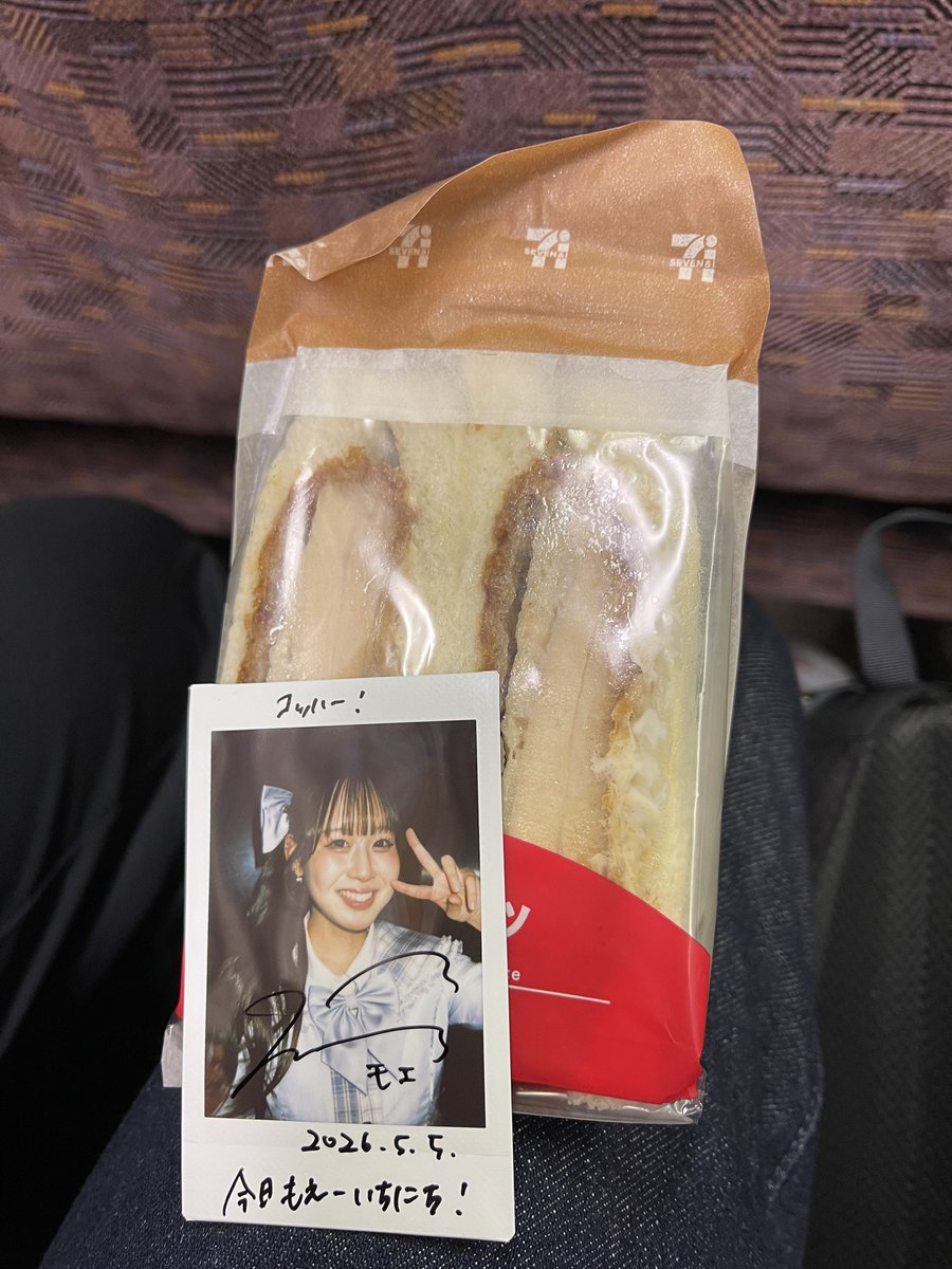 コッハー。 tweet media