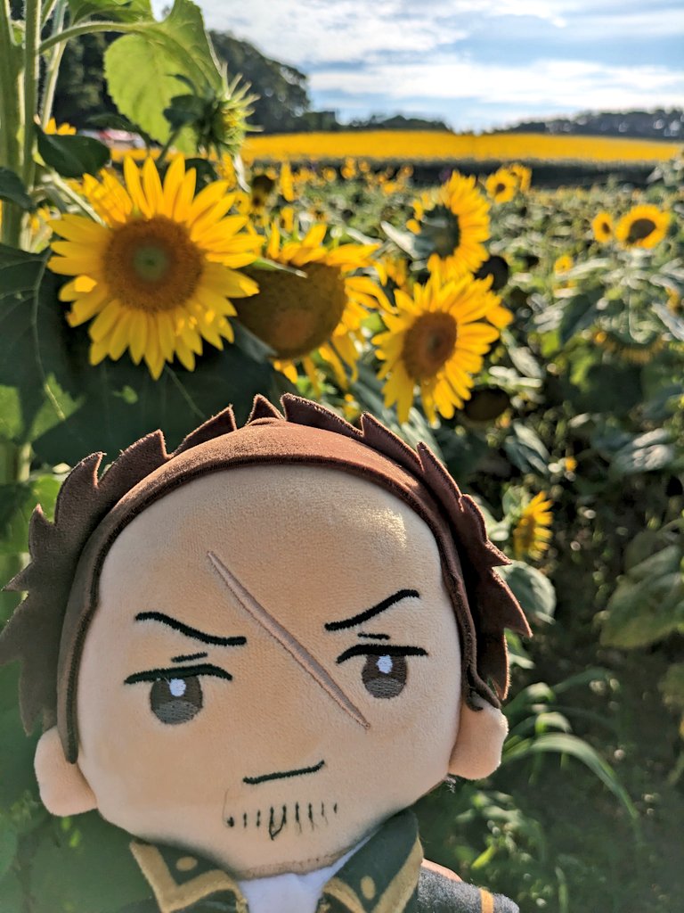 未来永劫勲一筋🌻ゴリバカの春琴🦍🍌 tweet media