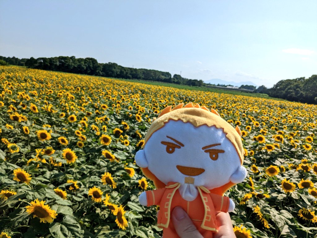 未来永劫勲一筋🌻ゴリバカの春琴🦍🍌 tweet media