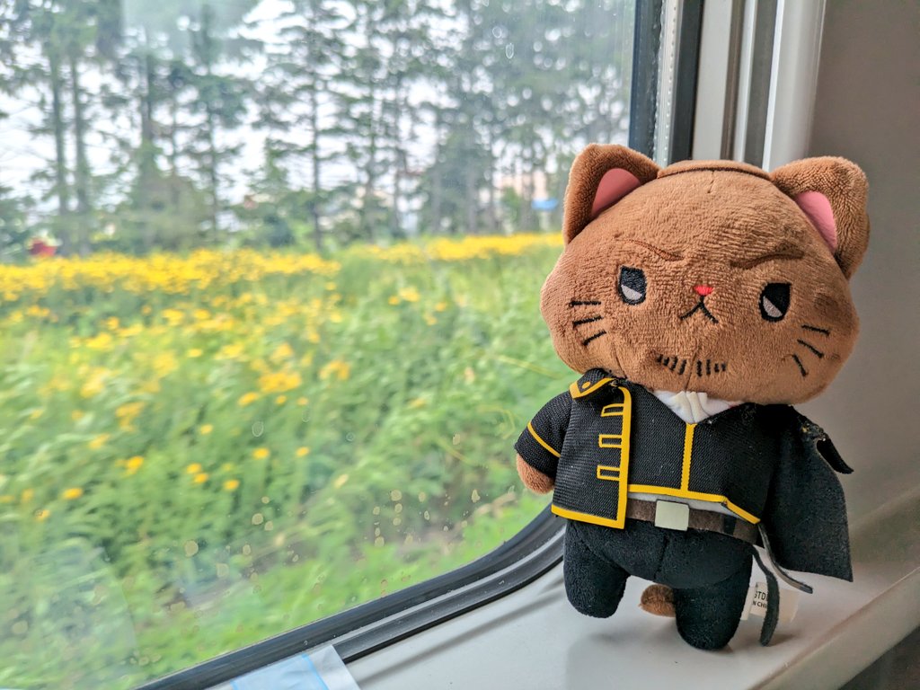 未来永劫勲一筋🌻ゴリバカの春琴🦍🍌 tweet media