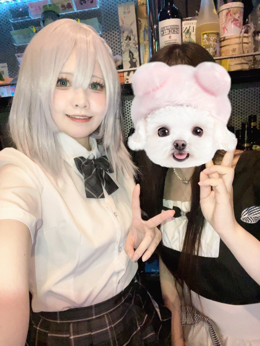 アニソンバーAXIA【現在スタッフ募集中】 tweet media