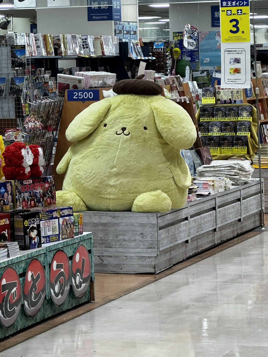furopunch's tweet photo. びっくりした
めちゃくちゃ大きいポムポムプリンが居るのかと思った https://t.co/Uxd1osiHrT