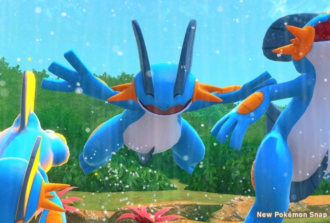 今日のポケモンクイズ(略クイポケ) tweet media