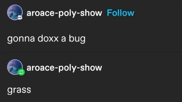 rio 🪲 bug oomf tweet media