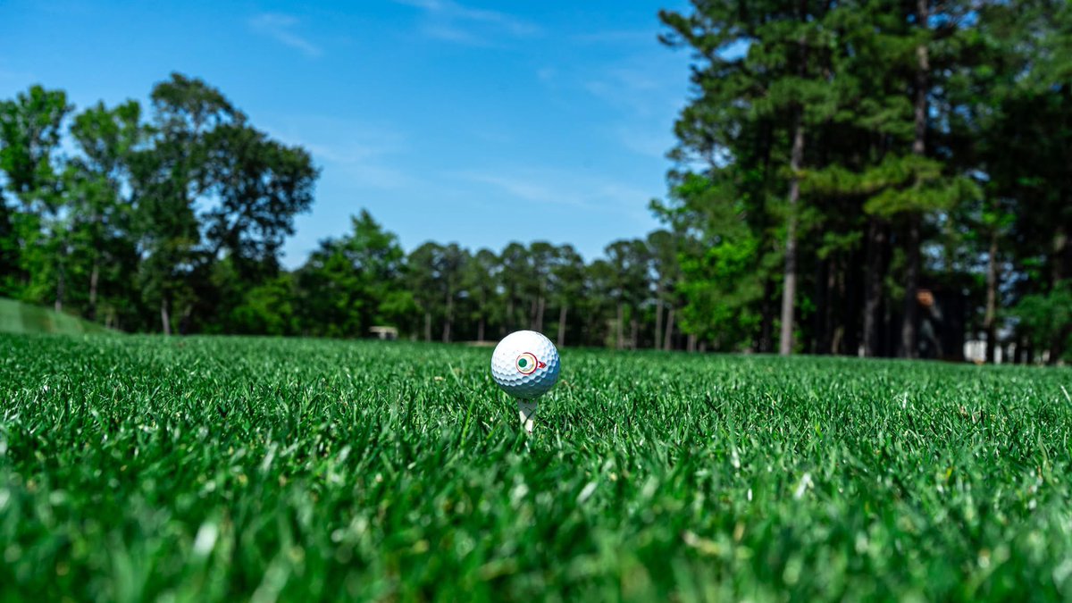 MBGolfTrail's tweet photo. 📸 from yesterday at Meadowlands Golf Club⛳️

Book your next tee time at Meadowlands on https://t.co/E8zb5MtW6e🔗 https://t.co/aPREm9til8