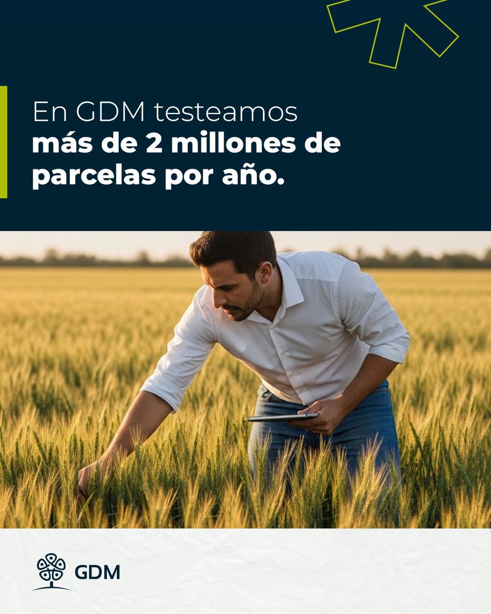 GDM tweet media