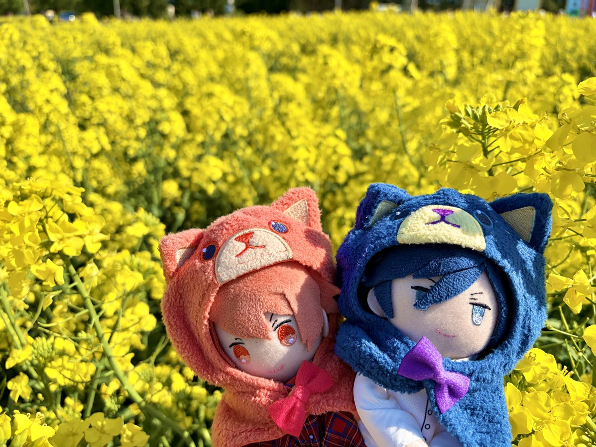 なるこ tweet media