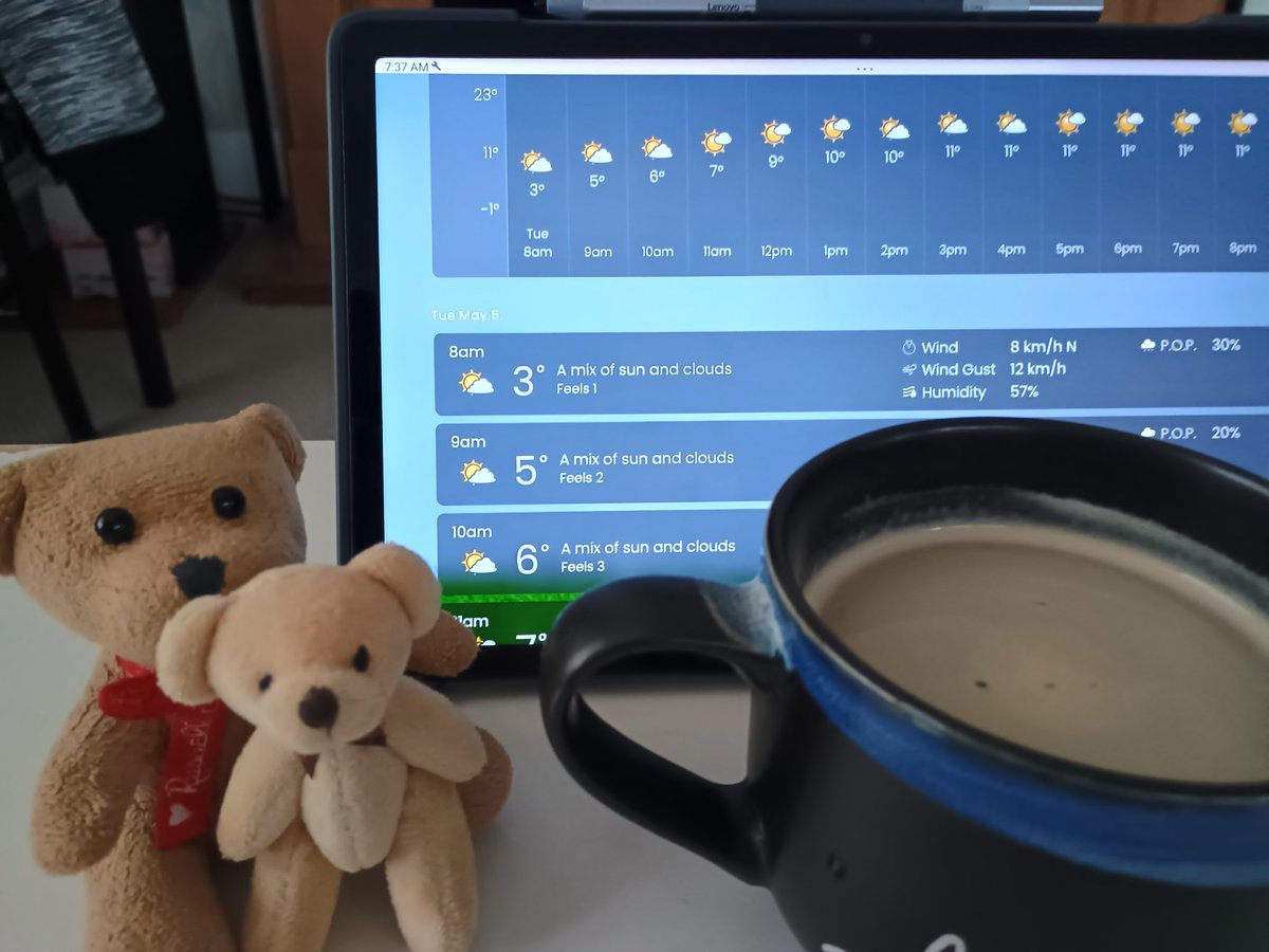 VerywellSeido's tweet image. Good morning 🐻🧸

A cool morning around 10℃🌡️
Starting to move some things to new place today 💪
Coffee first, then step by step.☕🇨🇦

Good luck, me! Lol

Take care and have a nice day my friend 🥱😊😉😁🤭🤗👍

#Coffee