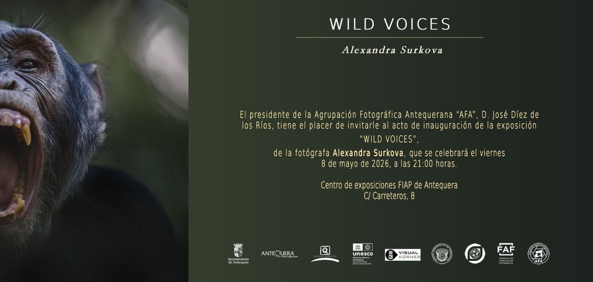 AFA Antequera FIAP exhibition center tweet media