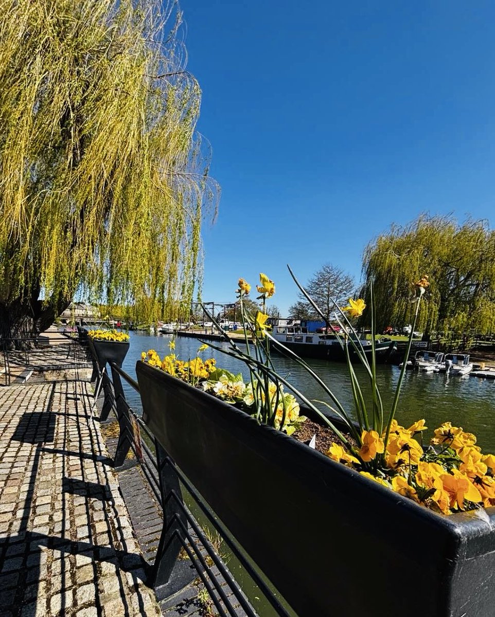 GoScenicView's tweet photo. Ely Cambridge Spring Walk, Riverside to Cathedral, etc, 4k hdr

https://t.co/isy6mk9NkL

https://t.co/iQCxGJd5wA

#spring #river  #tourists #hdr #4k #tourismspotlight #tourist
 #tourism #place #Tourisme #tourism #video #hdr #youtubechannel #4KHD #4KHDR #4ktv #uk #places #visit https://t.co/2BsXZENxNZ