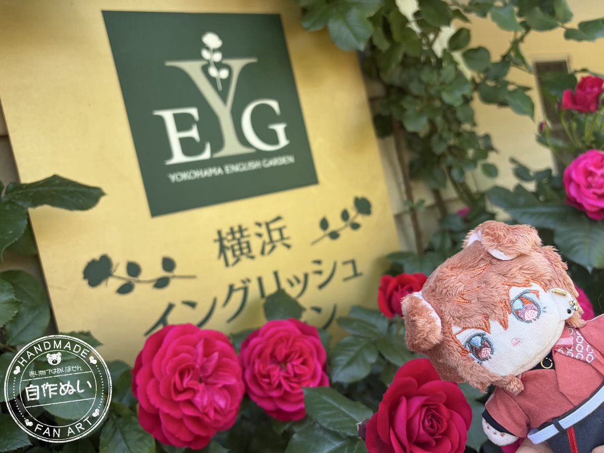 jugi(ゆぎ) tweet media