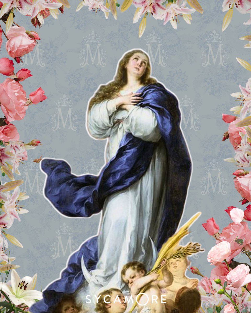 SycamoreSeek's tweet photo. 🌸May is traditionally known as the Month of Mary

Here are a few simple ways to mark this month:
• Pray a decade of the Rosary each day
• Place a small image of Mary at home
• Take a moment to entrust something to her
• Visit a church and spend a few quiet minutes in prayer https://t.co/qLLEeaDz6w
