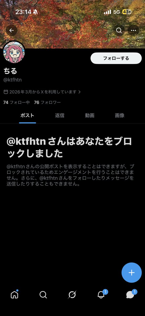 M tweet media