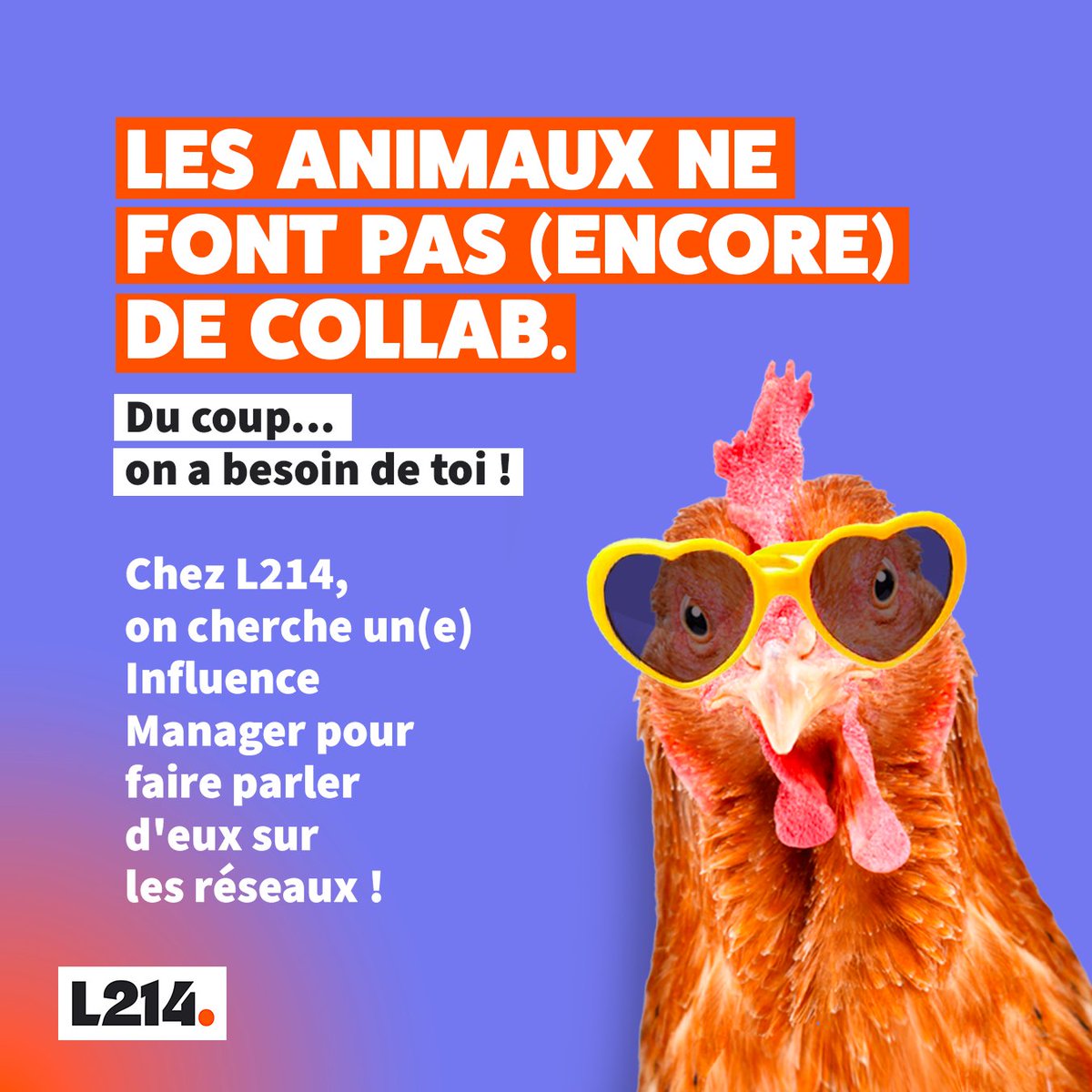 L214 éthique & animaux tweet media