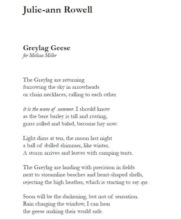 StoatPoetry's tweet photo. 'Greylag Geese' by Julie-ann Rowell is the stunning first poem of Issue 1. For more of Julie-ann's poems, and more from our other fabulous contributors, head over to https://t.co/s0WAJfQjKW to get your copy. https://t.co/5zVocjXzTB