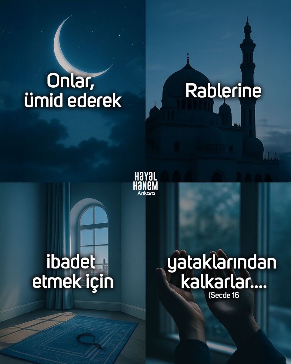 Hayalhanem Ankara tweet media