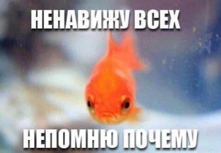 я открываю свой чс где 10к аккаунтов и пытаюсь вспомнить почему конкретно этот юзер попал в список пидорасов