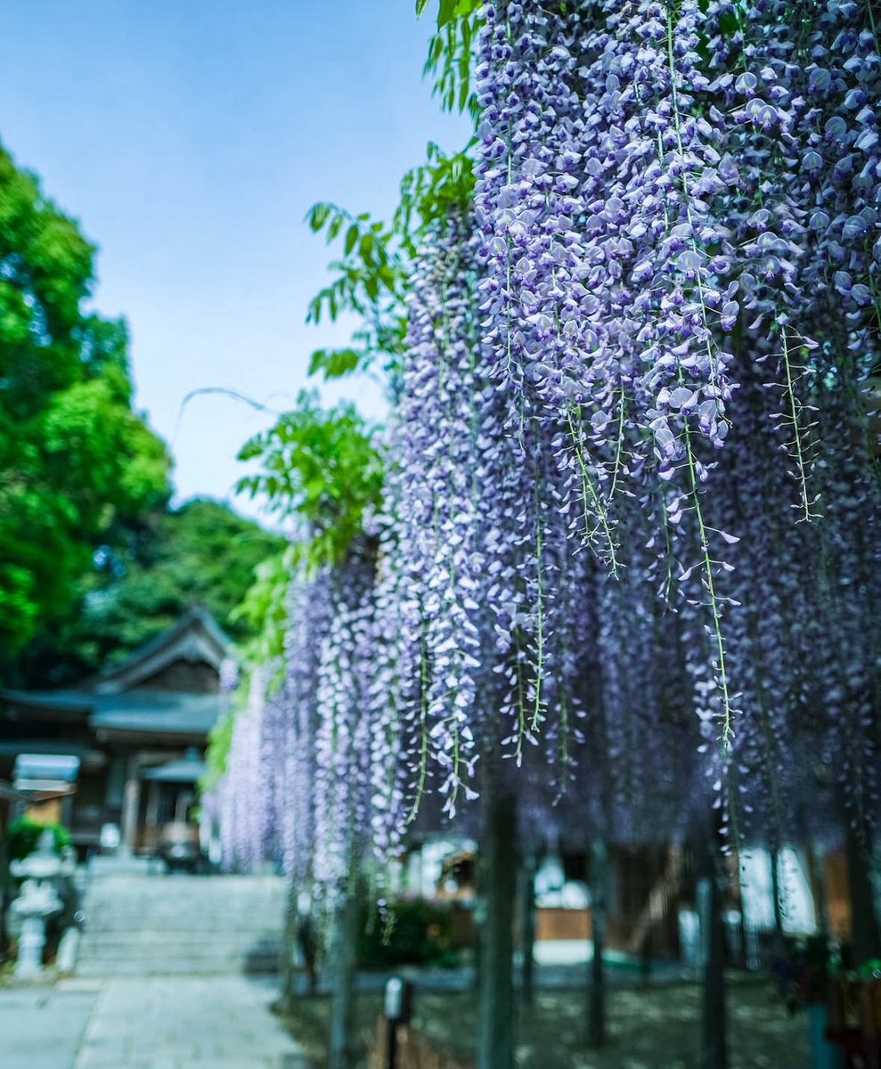 連休の出費で、現金に困ったら🌸

今すぐ現金が必要な時💵✨

審査は簡単30万円現金が作れます
最短20分 家族 職場にバレずに現金が
用意出来ます

お問い合わせはこちら👇👇👇
Twitterを見たとお知らせください
0120-747-232

genkinkahyper.work/sp/

#生活費　#現金化ハイパー