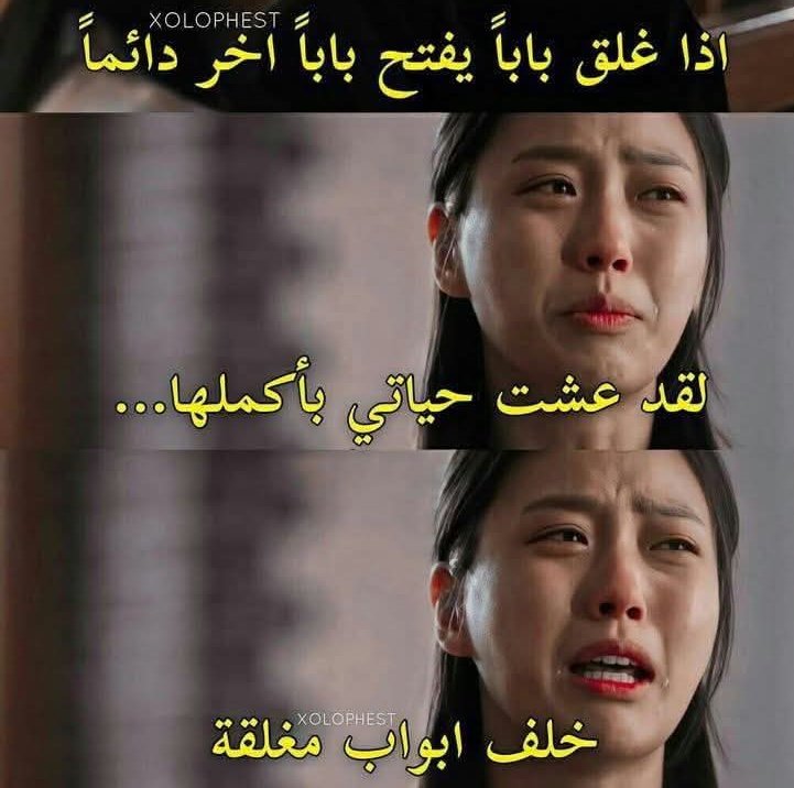 Amir tweet media