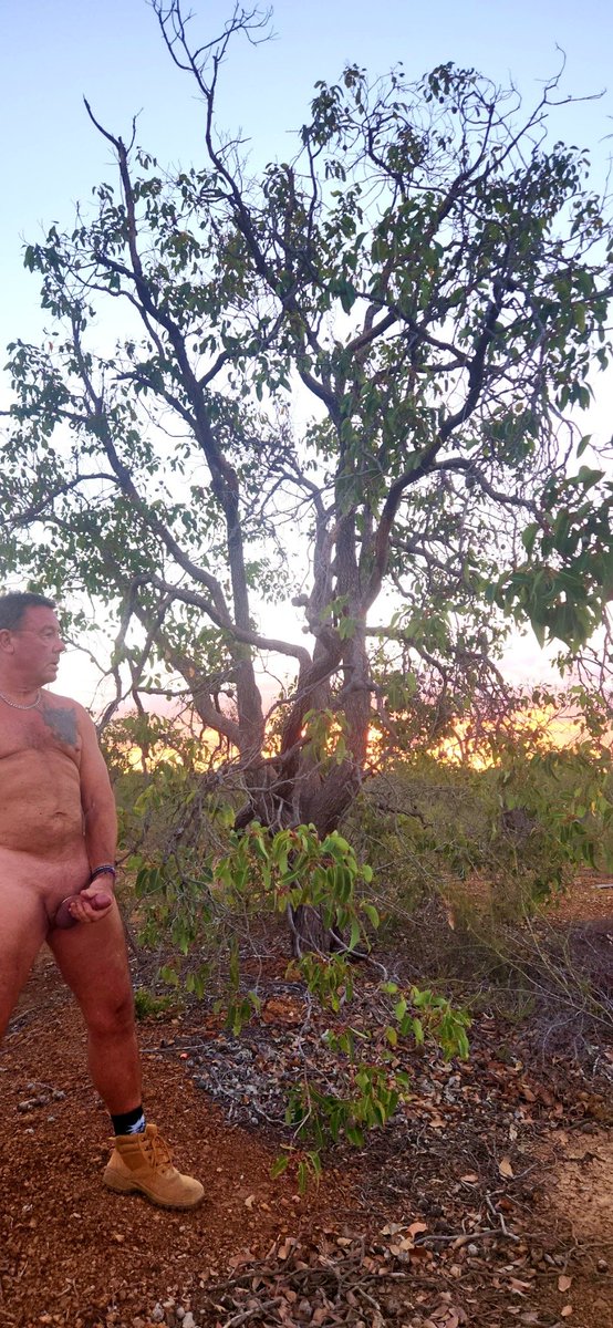 HeyItsJustMe33's tweet photo. Nice sunset
@jalogdl @countryqld @exbpublic @FreedomNude @HardGuy03082442 @KickAssNudists @Nudebeach1987 @nudemelbourne https://t.co/o4qRFxmv9b