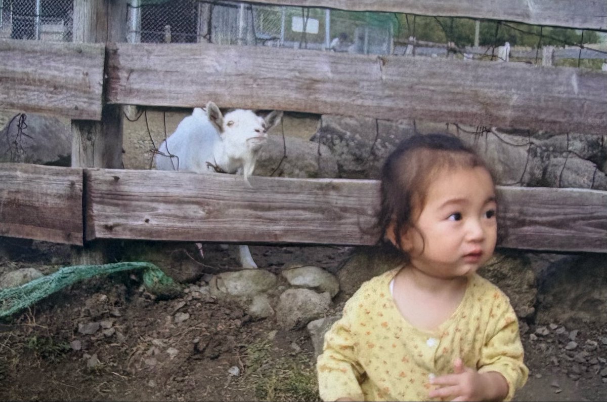 emma_tsukishiro's tweet image. #こどもの日 スペシャル

写真で一言！！