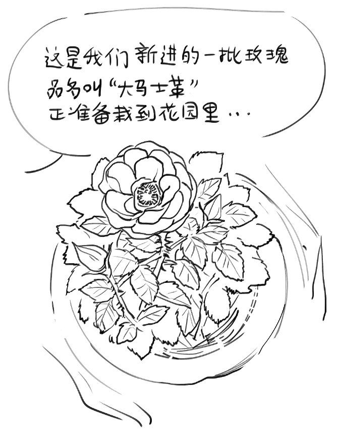 棘又 tweet media