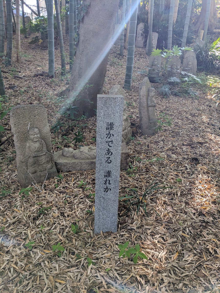 阿部八富利 tweet media
