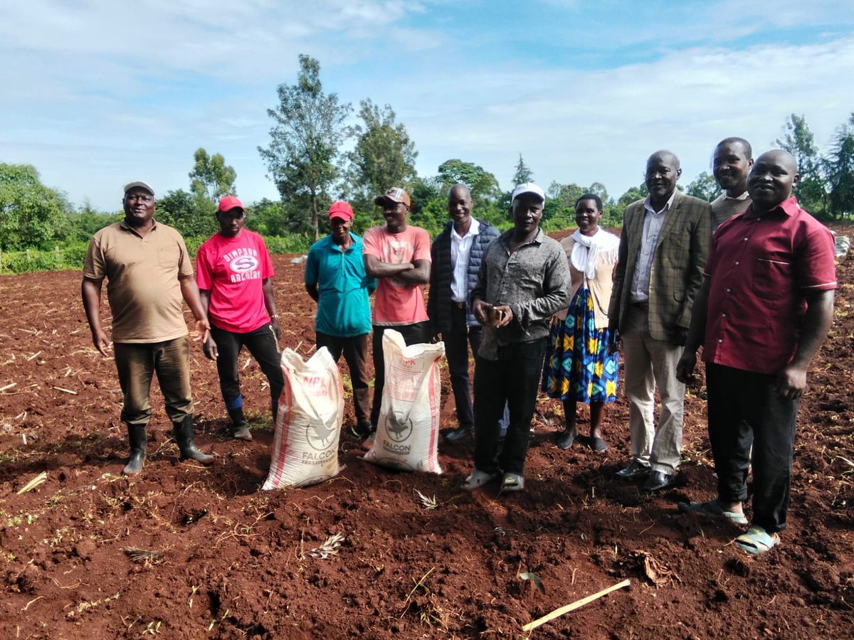 KESRETI's tweet photo. KESRETI field extension staff conducting hands on practical demonstration at Soliat Primary School,Kericho where three improved varieties KEN82-472, KEN83-737 &amp; KEN00-3811 are being planted.

The staff is demonstrating land preparation, seedcane preparation &amp; planting techniques https://t.co/1yEERc0re9