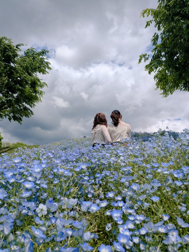 あんのじょう🦐 tweet media
