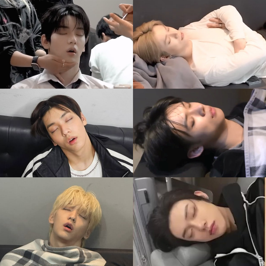 잠자는모습 이렇게다른거 언제안웃김