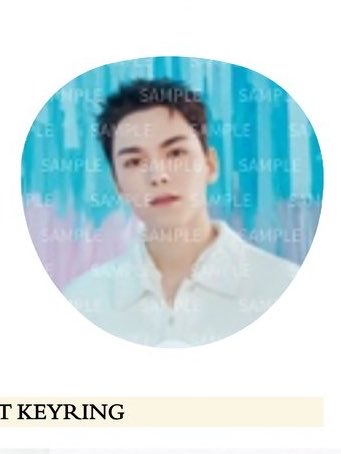 SEVENTEEN ペンミ YAKUSOKU 交換
ミニピケット　バーノン
【譲】写真1枚目
【求】写真2枚目

★14日東京ドームor郵送での交換
お気軽にお声掛けください🐻‍❄️