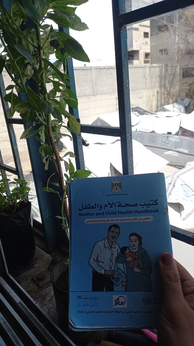 HamadShahe96841's tweet photo. I am currently five months pregnant and urgently need vitamins, supplements, and healthy food. I also need regular doctor visits, scans, and other medical procedures, all of which require money. Please help me and don't leave me alone. This is my UNRWA pregnancy certificate.
https://t.co/8lOmJ9dU1V
@MothTongue_ @AbubakerAbedW @anarchotadigism @oliveegirl @ProfSunnySingh @Frances_Coppola @bunnyxomosh @lunalunabraga
@oliveegirl @anarchotadigism @AlinaCobirlau @nisafarrukh_f