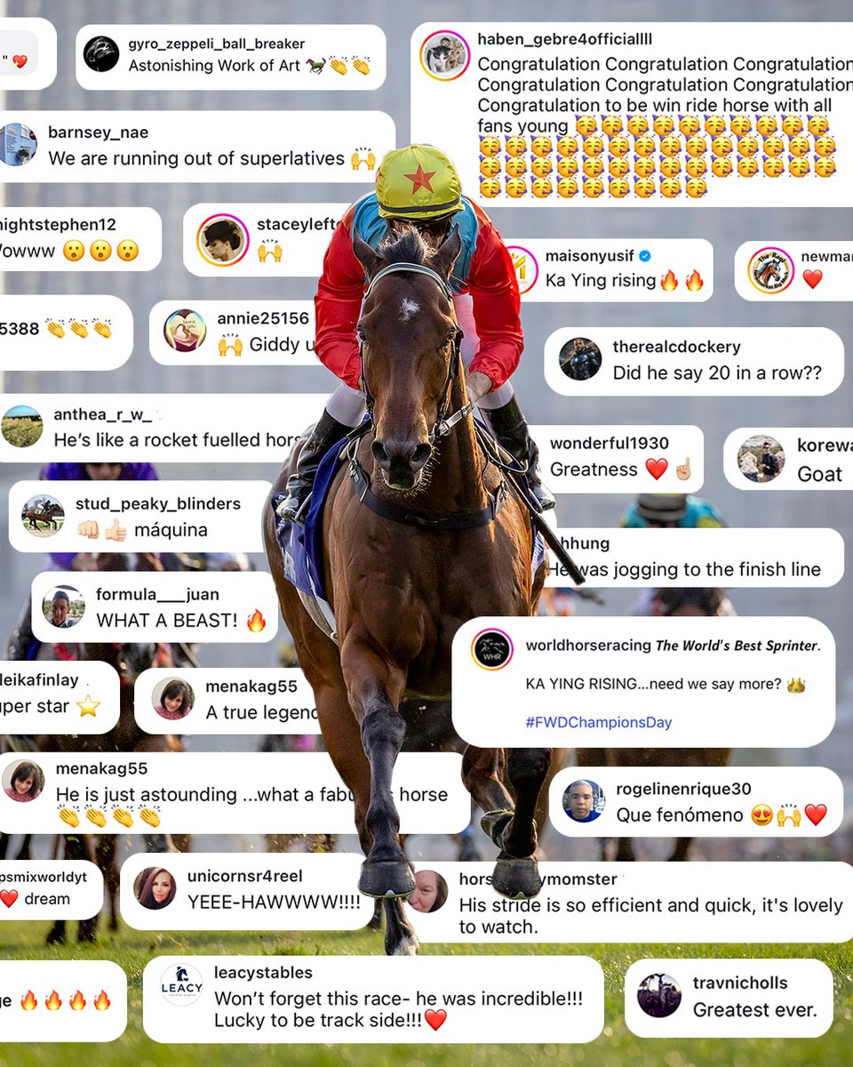 World Horse Racing tweet media