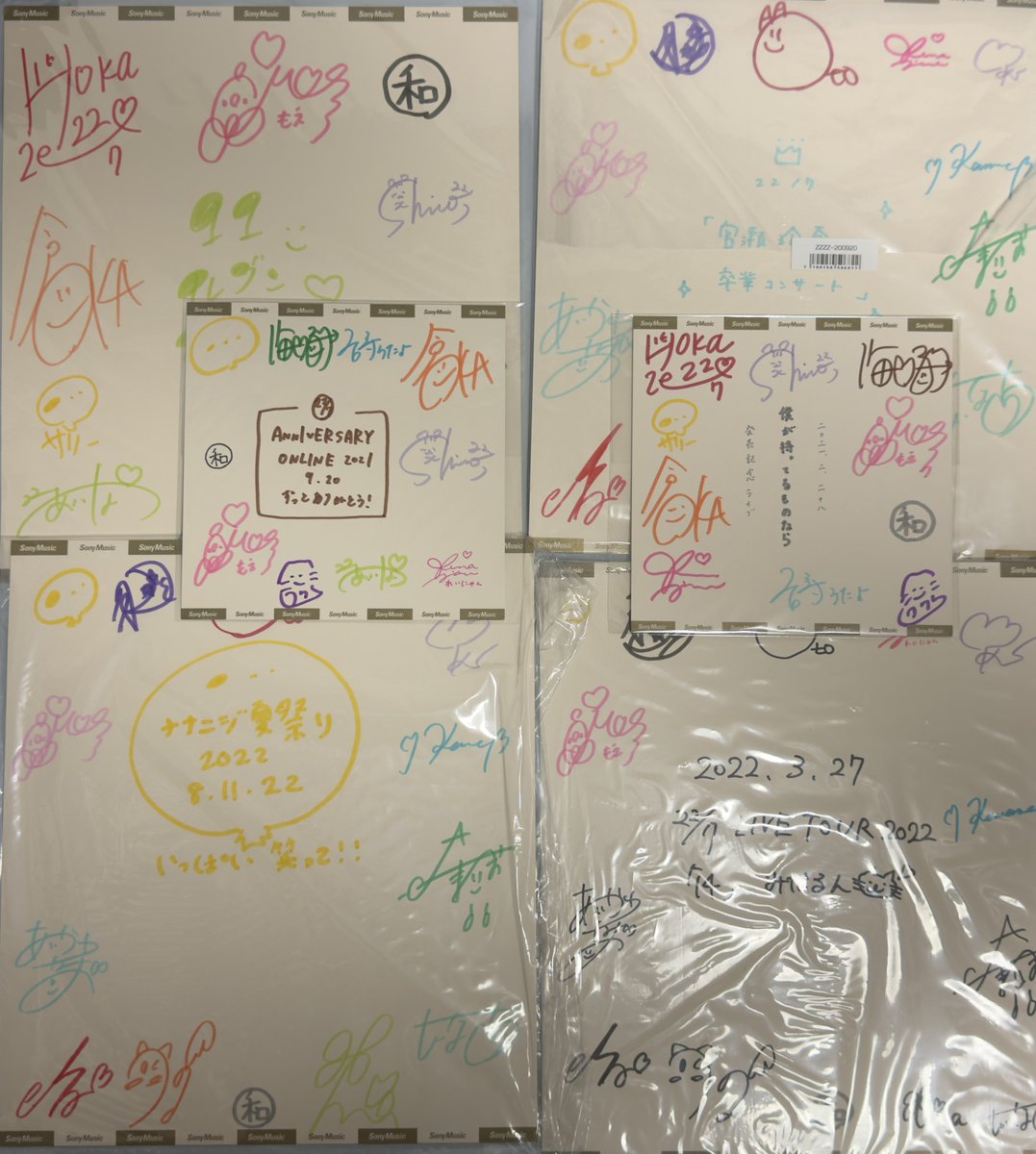 やしー(やっしっしー、やしー1st) tweet media