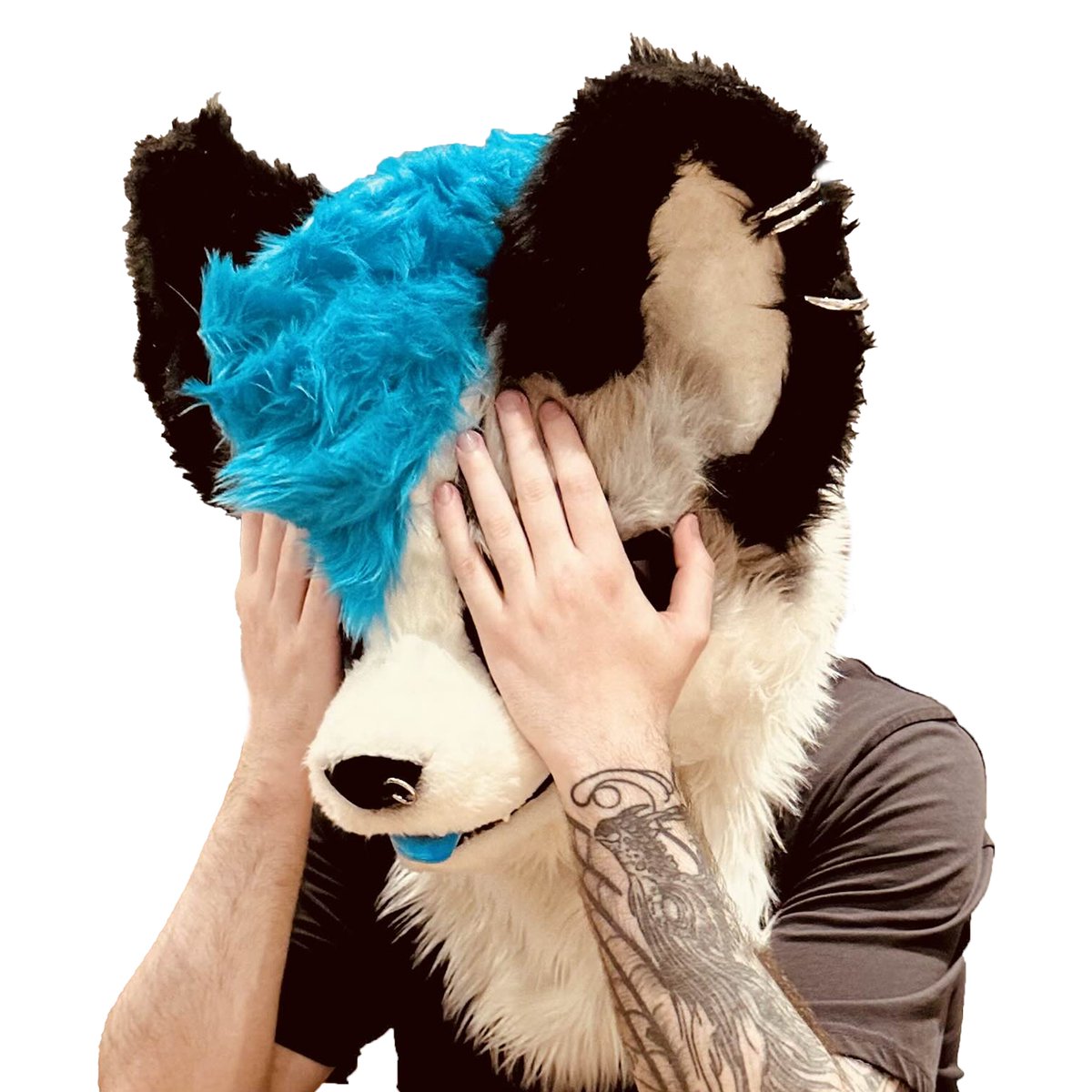 Emotional Support Fox tweet media