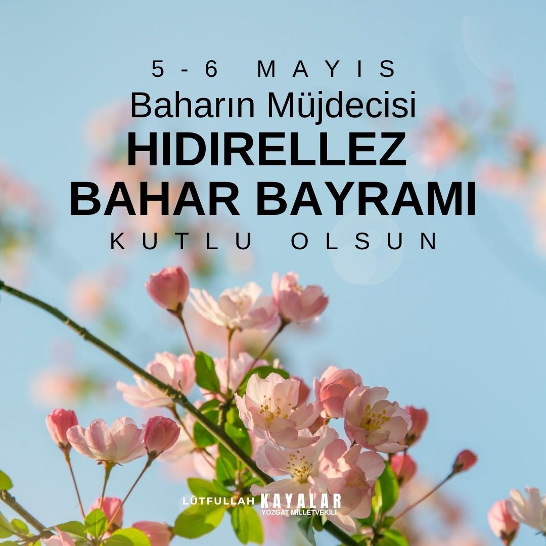 Lutfullah Kayalar tweet media