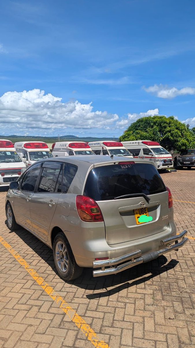 THE PLUG UG🇺🇬 tweet media