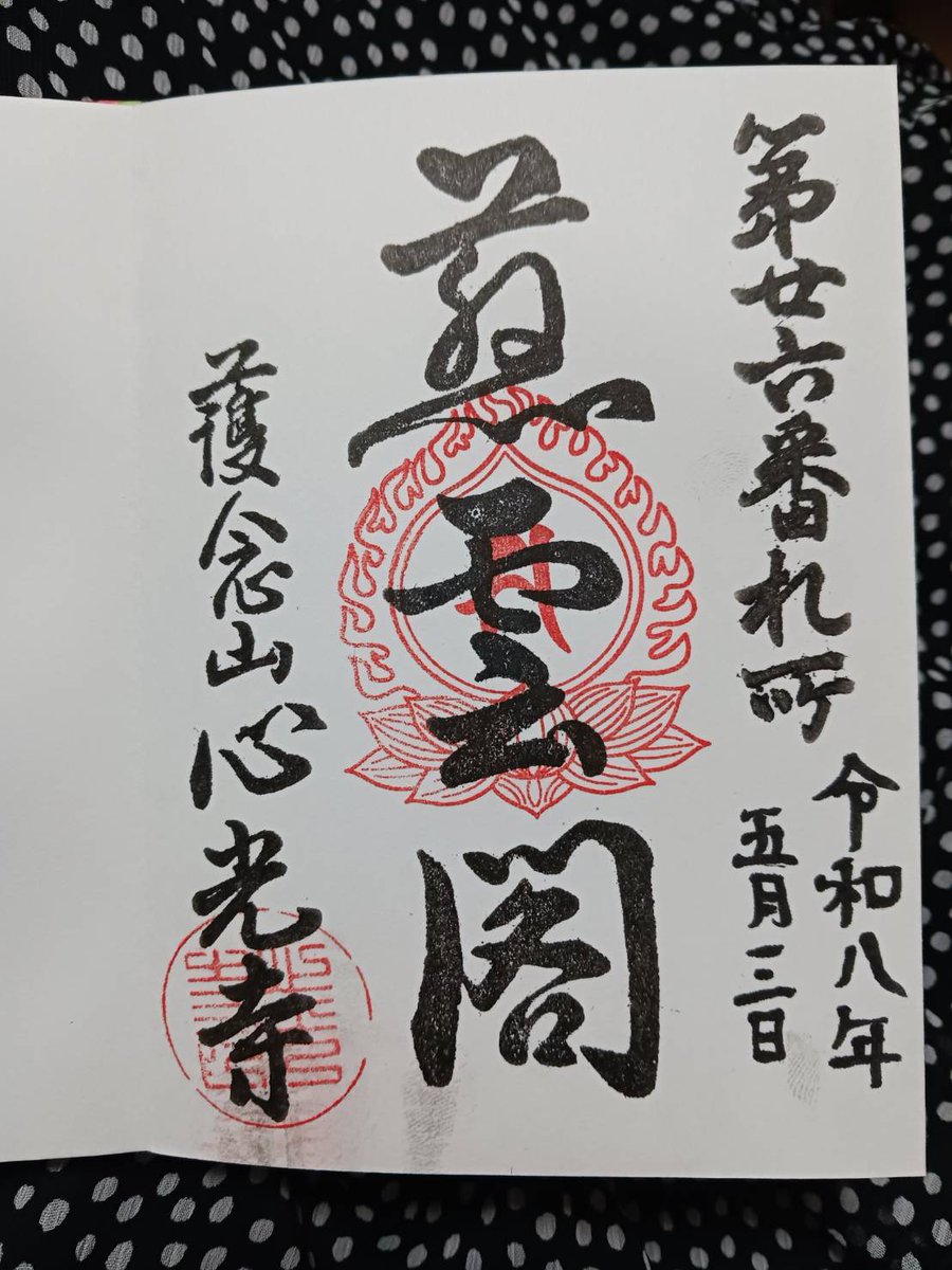 カメ吉。 tweet media