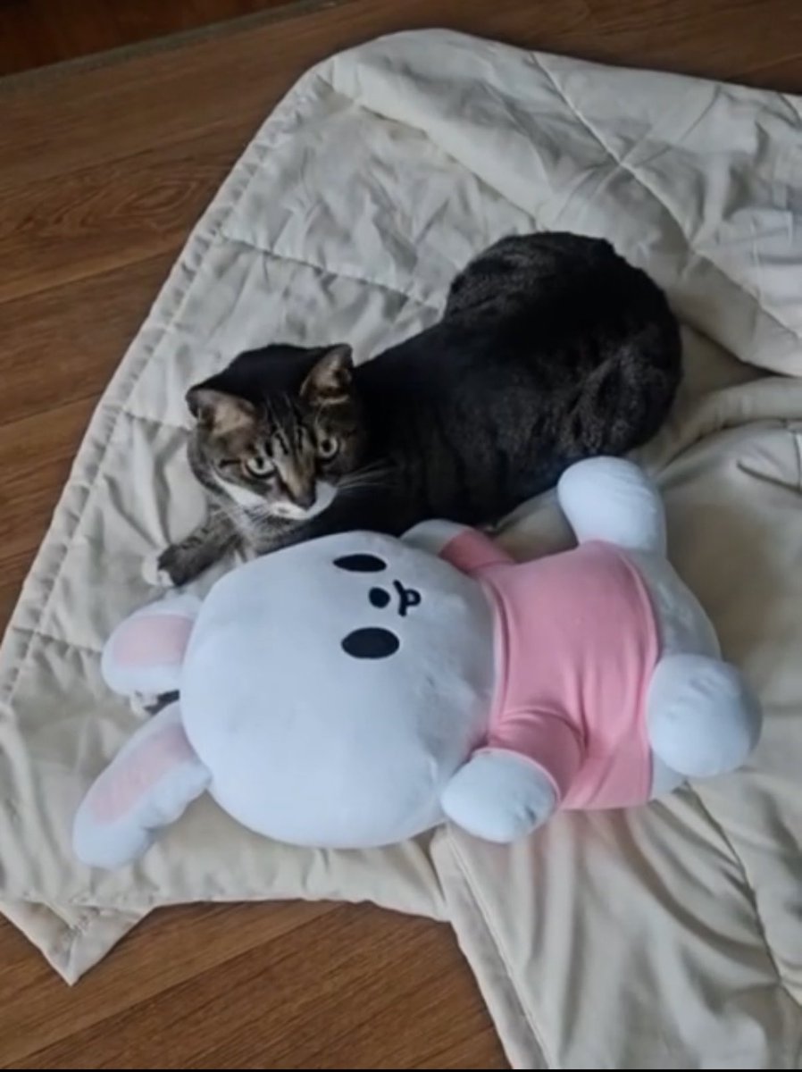 비니 tweet media