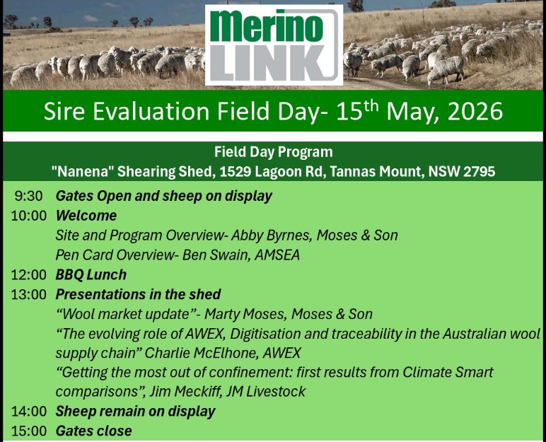 MerinoLink Limited tweet media