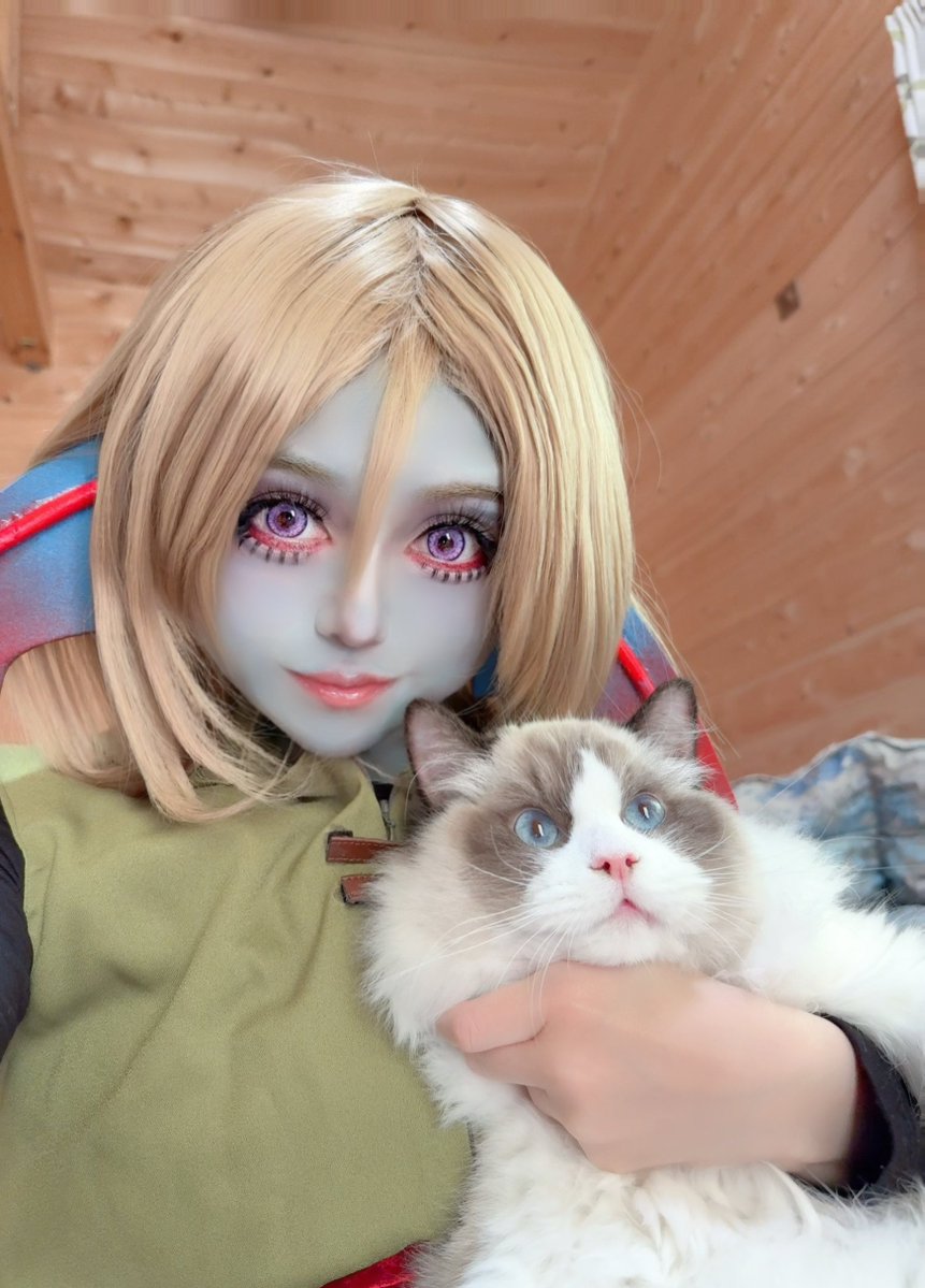 まりも😻 tweet media