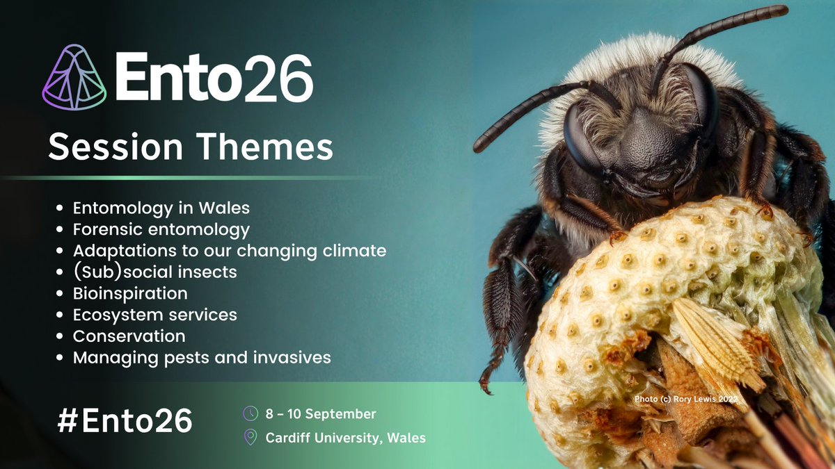 Royal Entomological Society tweet media