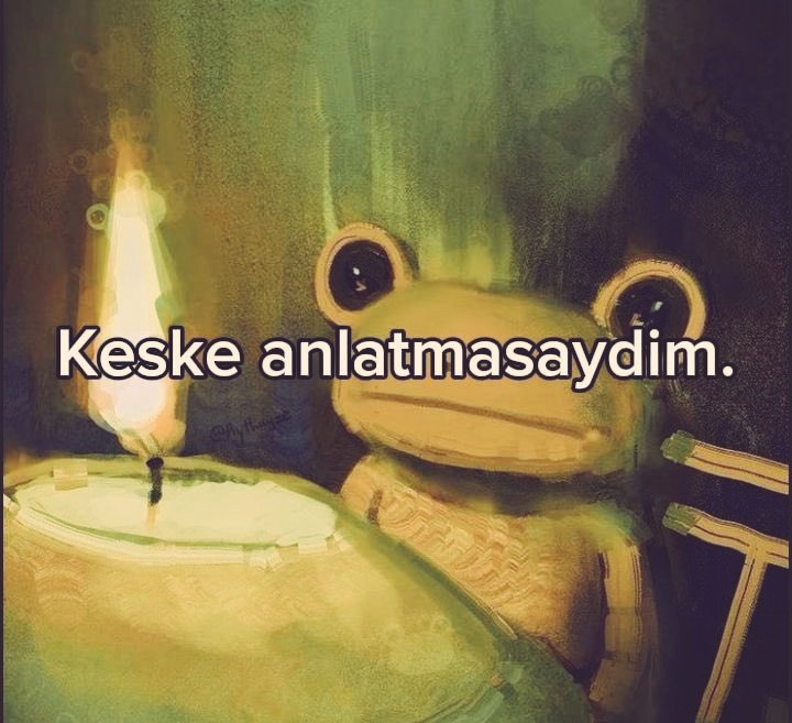77. Sayfa tweet media