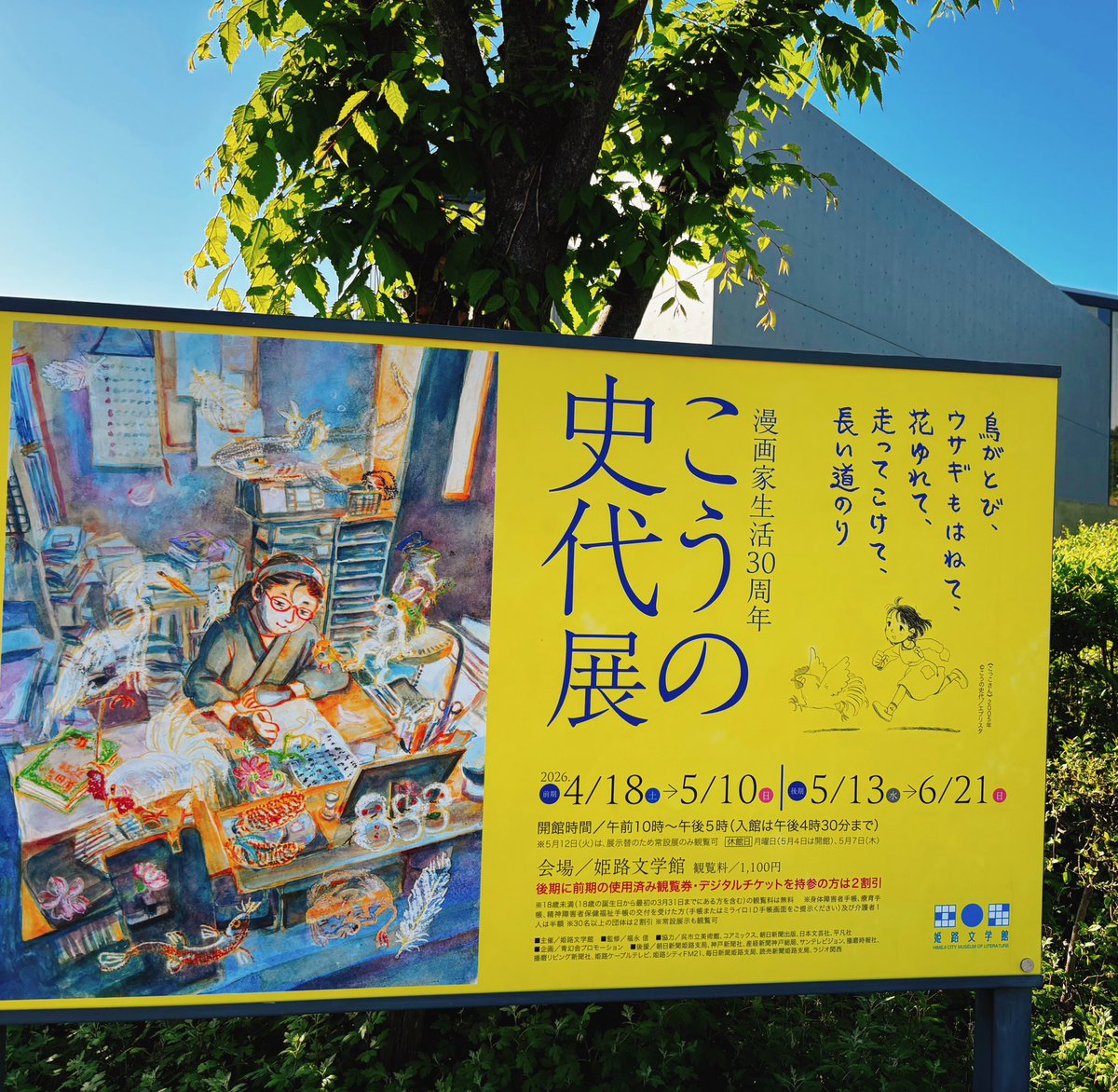 まいこ🪩 tweet media